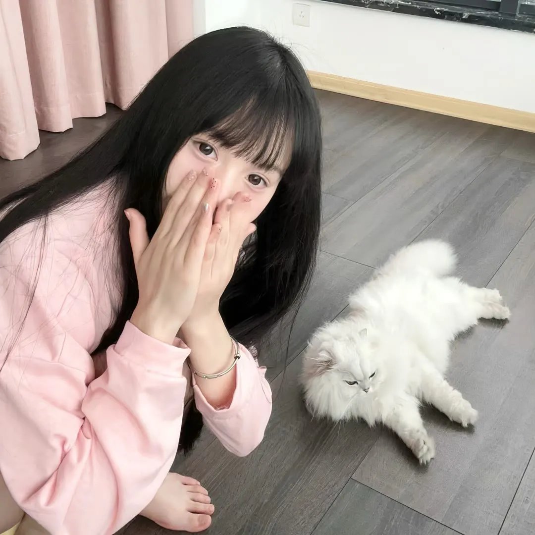 伊迪与潘